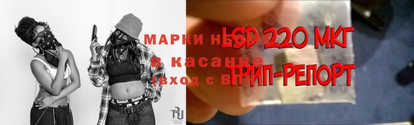 сатива Белоозёрский