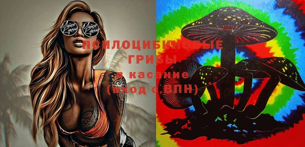 прущая мука Беломорск