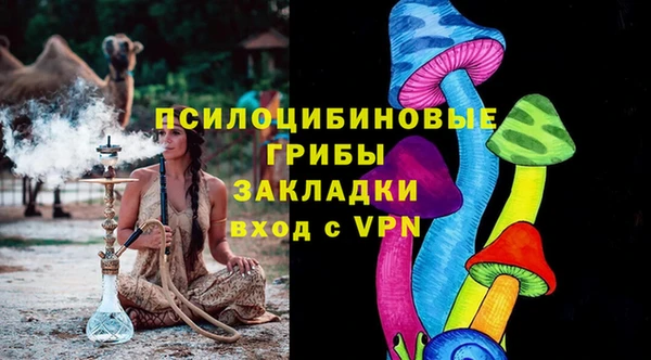 сатива Белоозёрский