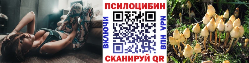 Галлюциногенные грибы ЛСД  что такое   Великие Луки 